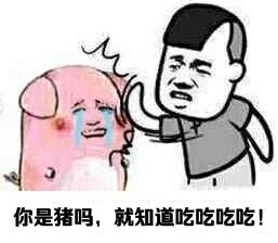 就知道吃表情包