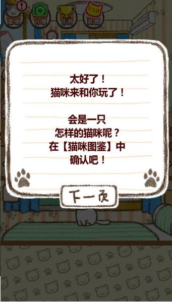 家猫