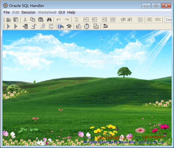 Oracle SQL Handler(Oracleݿ⹤) v5.1 Ѱ1