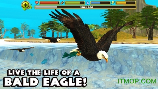 ӥģİƽ޽(Eagle Simulator) v1.0 ׿ڹƽ0