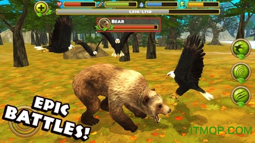 ӥģİƽ޽(Eagle Simulator) v1.0 ׿ڹƽ3