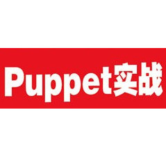 puppetʵսpdf