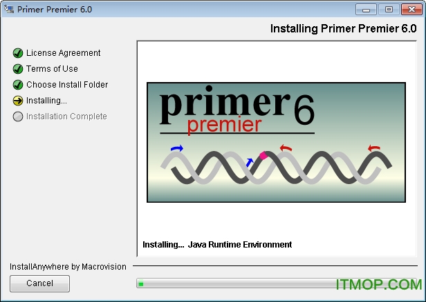 Primer Premier6.0