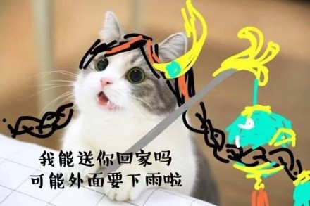 王者荣耀猫咪表情包