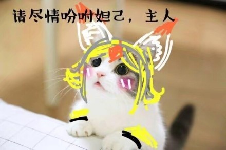 王者荣耀猫咪表情包