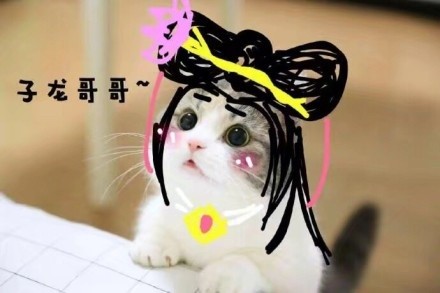 王者荣耀猫咪表情包