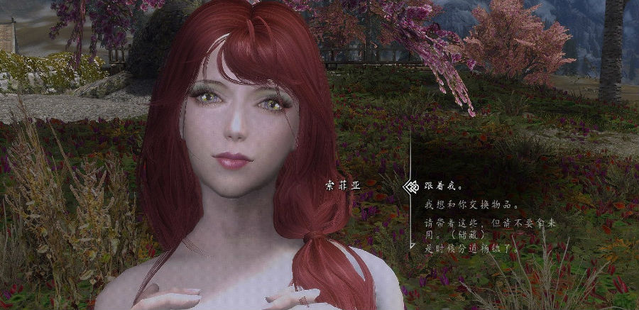 上古卷轴5索菲亚mod 上古卷轴5索菲亚mod