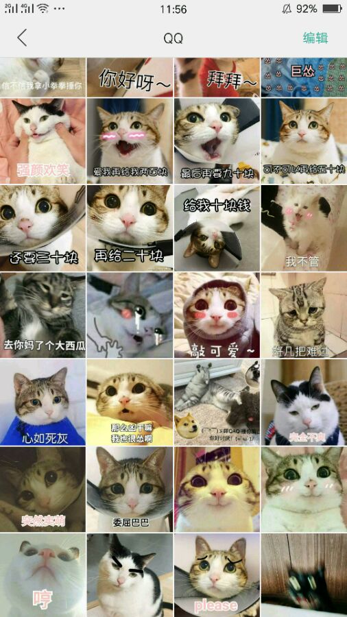 萌猫表情包 萌猫表情包