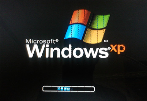 xp减肥茶