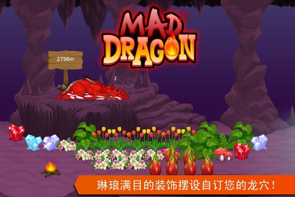疯狂的巨龙