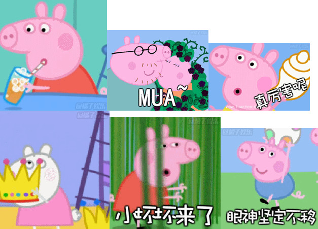小猪佩奇 小猪佩奇