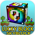 յϷİ(Skyblock)