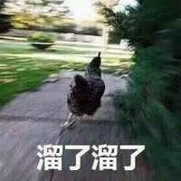溜了溜了表情包 溜了溜了表情包