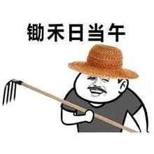 锄禾日当午表情包 锄禾日当午表情包