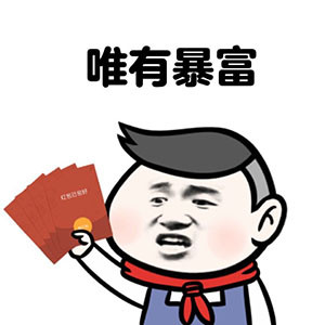 何以解忧唯有暴富表情包