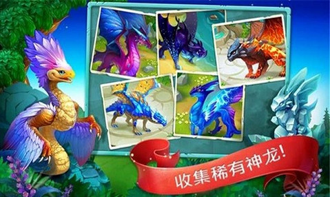 龙的世界 龙的世界