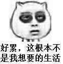 熬夜熊猫眼表情包 熬夜熊猫眼表情包
