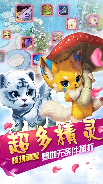 霸王之心 霸王之心