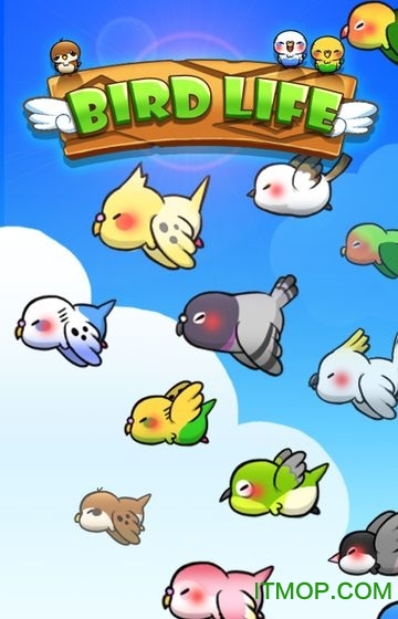 Ϸ(Bird Life) v1.5.3 ٷ׿3