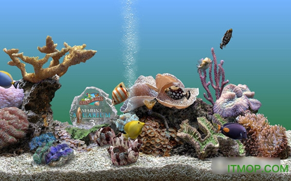 ˮƽ(Marine Aquarium)