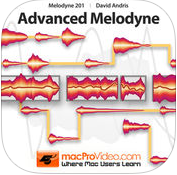 melodyneƽ