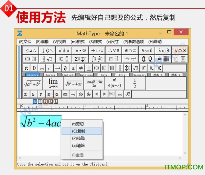 word2007ѧʽ༭ v6.9b Ѱ0