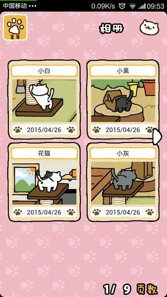 猫咪收集