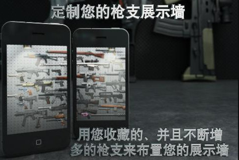 爱枪支专业版