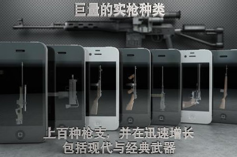 爱枪支专业版