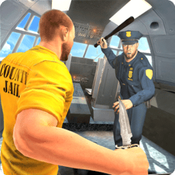 ɻPrison Escape Airplane Landing