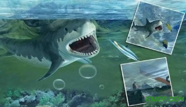 3d踴Ϸ޽Ұ(Hungry white shark revenge 3D) v1.0.3 ׿ڹƽ 0