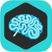 ņ(Brain Hack)