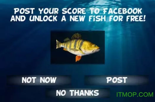 (Spearfishing PRO) v1.1 ׿0