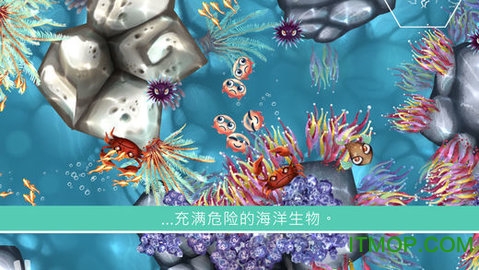 jelly reefˮĸ(δ) v1.2 ׿1