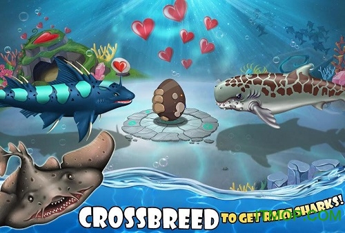 ޵ƽ(Shark World) v9.94 ׿ڹѰ 0