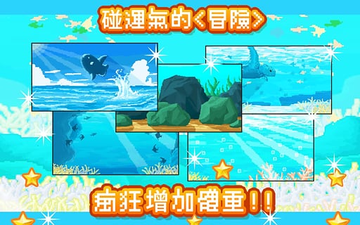 保护翻车鱼