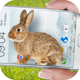 ֙CСЦ(Bunny in Phone Cute joke)