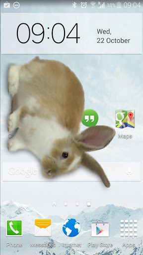 ֻСЦ(Bunny in Phone Cute joke) v1.3 ׿ 1