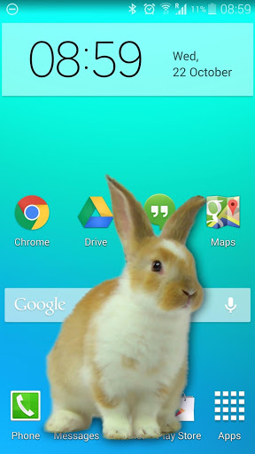 ֻСЦ(Bunny in Phone Cute joke) v1.3 ׿ 2