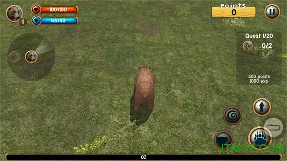 Ұģ3D(Wild Bear Simulator 3D) v1.0 ׿ 2