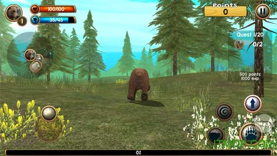 Ұģ3D(Wild Bear Simulator 3D) v1.0 ׿ 3