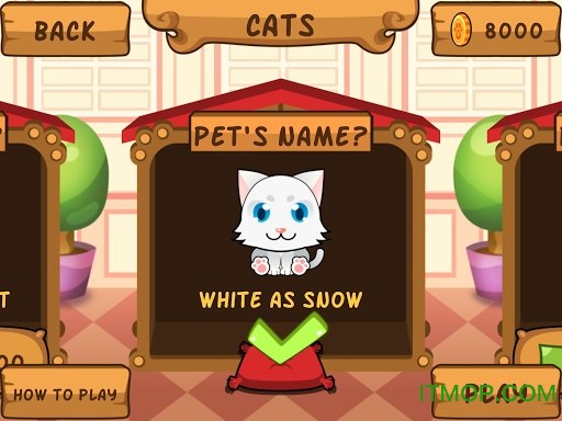 ҵè(My Virtual Cat) v1.5.6 ׿1