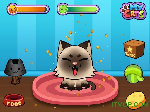 ҵè(My Virtual Cat) v1.5.6 ׿2