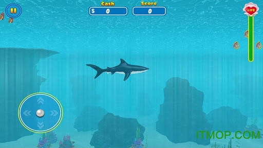 㹥ģ޽Ǯ(Shark Attack Wild Simulator) v6.1 ׿ 2