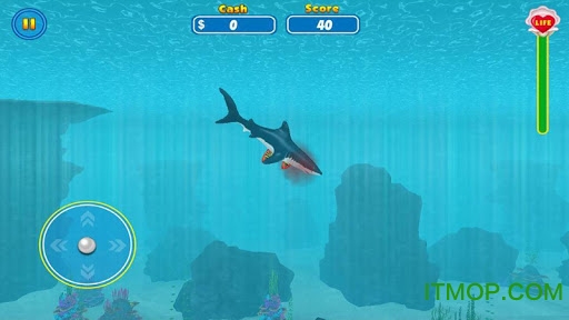 㹥ģ޽Ǯ(Shark Attack Wild Simulator) v6.1 ׿ 1