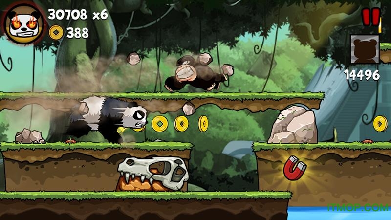 ؈(Panda Run) v1.0.4 ׿ 1