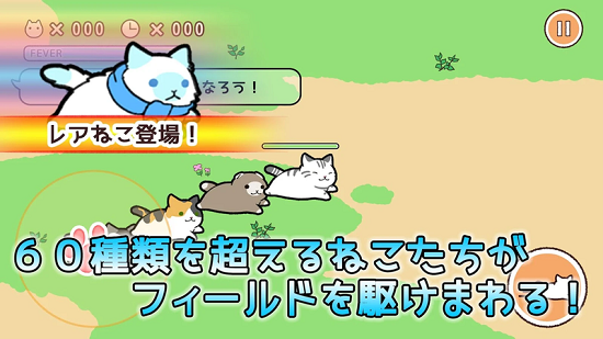 喵喵长跑 喵喵长跑