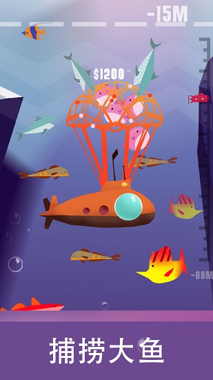 Diving Fishing