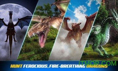 2019ڹƽ(dragon hunter 2019) v1.0.6 ׿޽Ұ 2