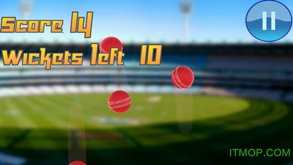 (Hit Cricket) v1.1 ׿ 3